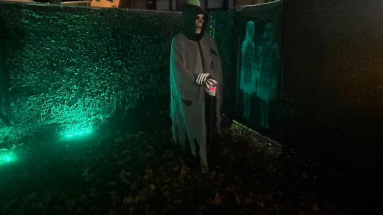 Halloween in Zonnemaat: silent disco en vampierenbal — uitgaan in Zevenaar